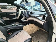 BYD Dolphin Glory Edition 420km Freedom Version - ფოტო 9