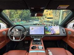 Li Auto L6 Pro - ფოტო 13
