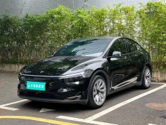 Tesla Model Y Rear-Wheel Drive - ფოტო 1