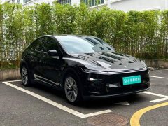 Tesla Model Y Rear-Wheel Drive - ფოტო 10