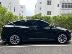 Tesla Model Y Rear-Wheel Drive - ფოტო 9