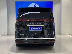 Denza D9 DM-i 970 AWD Premium Edition - photo 15
