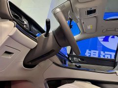 Denza D9 DM-i 970 AWD Premium Edition - photo 5