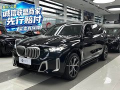 BMW X5 xDrive 30Li M Sport Premium Package - фото 1