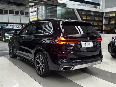 BMW X5 xDrive 30Li M Sport Premium Package - фото 12