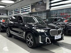 BMW X5 xDrive 30Li M Sport Premium Package - фото 3