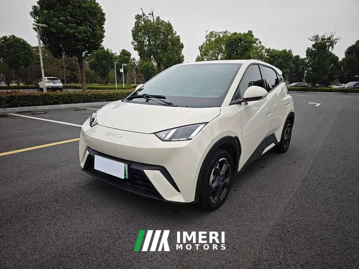 BYD Seagull Glory Edition 405km Flying Edition - ავტომობილი ჩინეთიდან