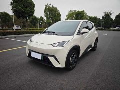 BYD Seagull Glory Edition 405km Flying Edition - ფოტო 1