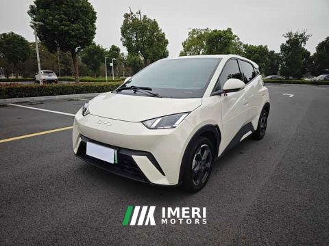 2024 BYD Seagull Glory Edition 405km Flying Edition