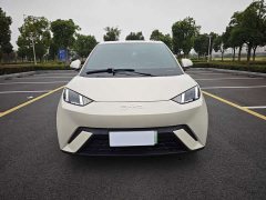 BYD Seagull Glory Edition 405km Flying Edition - ფოტო 2