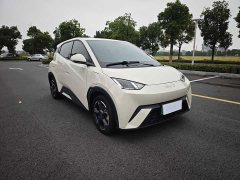 BYD Seagull Glory Edition 405km Flying Edition - ფოტო 3