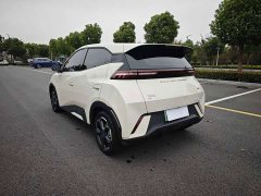 BYD Seagull Glory Edition 405km Flying Edition - ფოტო 5