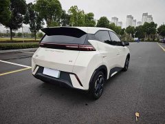 BYD Seagull Glory Edition 405km Flying Edition - ფოტო 7