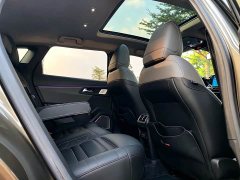 Dongfeng Versailles C5 X 1.6T Unstoppable Tiger Year Special Edition - фото 17
