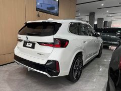 BMW X1 sDrive25Li M Sport Package - ფოტო 8