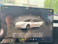 Tesla Model 3 Long Range All-Wheel Drive - ფოტო 5