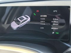 Geely Galaxy A7 EV 550km Luxury Edition - ფოტო 10