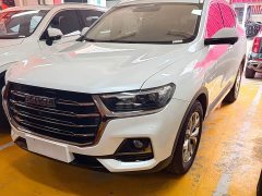 Haval H6 National Trend 1.5GDIT Automatic Champion Edition - ფოტო 1