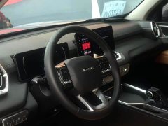 Haval H5 2.0T Automatic Four-Wheel Drive Leading Creator Diesel - ფოტო 2