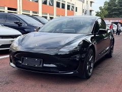 Tesla Model 3 Standard Range RWD Upgrade - ფოტო 2