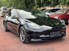 Tesla Model 3 Standard Range RWD Upgrade - ფოტო 3