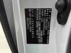 Toyota Sienna 2.5L Hybrid Platinum Edition - фото 18