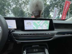 FAW Hongqi H9 2.0T 2WD Qixiang Luxury Business Edition 5-seater - photo 11