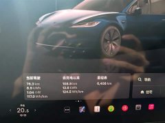 Tesla Model 3 Rear-Wheel Drive - ფოტო 4