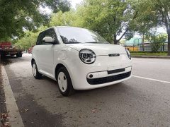 Changan Lumin Treasure Edition 205km Pure Love Rice Guoxuan - photo 2