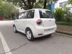 Changan Lumin Treasure Edition 205km Pure Love Rice Guoxuan - photo 8