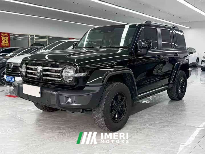 Tank 300 City Edition 2.0T Stylish - car from China