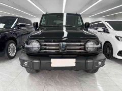 Tank 300 City Edition 2.0T Stylish - photo 2