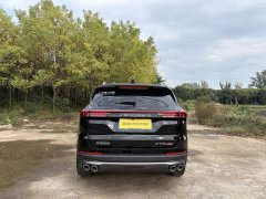 Jetour Jietu X70 PLUS Champion Edition 1.5T DCT Champion MAX 7-Seater - photo 4