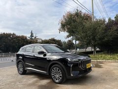 Jetour Jietu X70 PLUS Champion Edition 1.5T DCT Champion MAX 7-Seater - photo 6