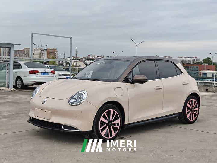 ORA Good Cat 400km Standard Range Athena Edition LFP Battery - автомобиль из Китая