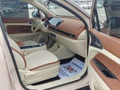 ORA Good Cat 400km Standard Range Athena Edition LFP Battery - фото 11