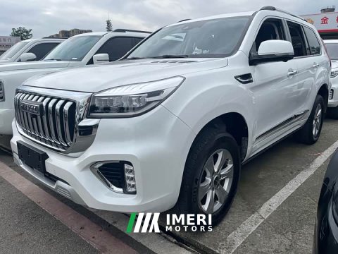 2022 Haval H9 2.0T Gasoline AWD Luxury 7-Seater - ავტომობილი ჩინეთიდან