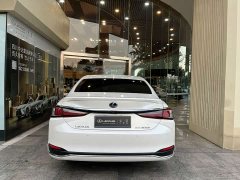 Lexus ES 300h Premium Edition - ფოტო 5