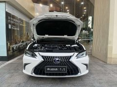 Lexus ES 300h Premium Edition - ფოტო 6