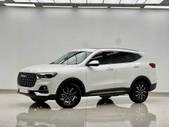 Haval H6 National Trend Edition 1.5T Automatic Urban Version - photo 1