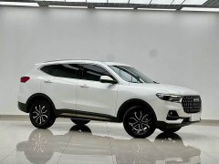 Haval H6 National Trend Edition 1.5T Automatic Urban Version - photo 3