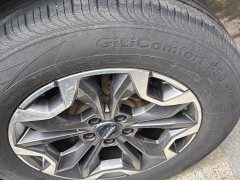 Great Wall Dachshund 2.0T DCT Four-wheel Drive Chinese Rural Dog Hunting Edition - photo 10