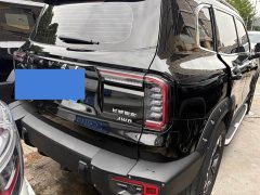 Great Wall Dachshund 2.0T DCT Four-wheel Drive Chinese Rural Dog Hunting Edition - photo 12