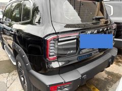 Great Wall Dachshund 2.0T DCT Four-wheel Drive Chinese Rural Dog Hunting Edition - photo 15