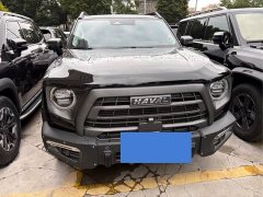 Great Wall Dachshund 2.0T DCT Four-wheel Drive Chinese Rural Dog Hunting Edition - photo 2
