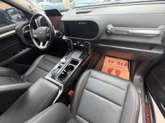 Great Wall Dachshund 2.0T DCT Four-wheel Drive Chinese Rural Dog Hunting Edition - photo 4