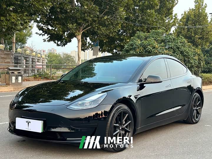 Tesla Model 3 Standard Range RWD Upgrade