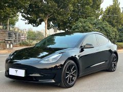 Tesla Model 3 Standard Range RWD Upgrade - photo 1