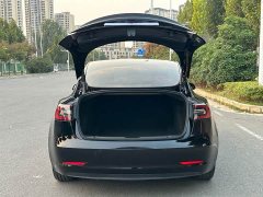 Tesla Model 3 Standard Range RWD Upgrade - photo 10