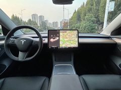 Tesla Model 3 Standard Range RWD Upgrade - photo 5